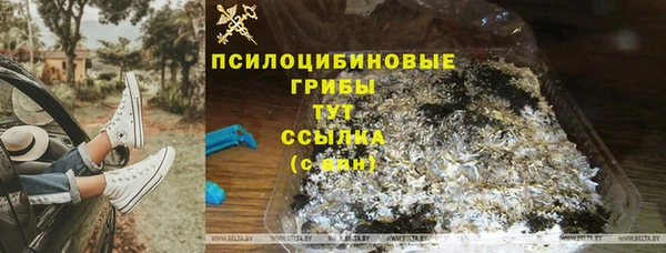 ПСИЛОЦИБИНОВЫЕ ГРИБЫ Алзамай