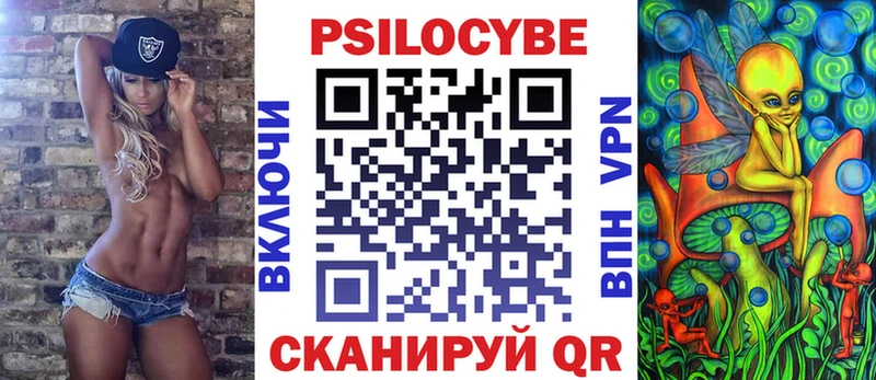 закладка  Салехард  Галлюциногенные грибы мицелий 